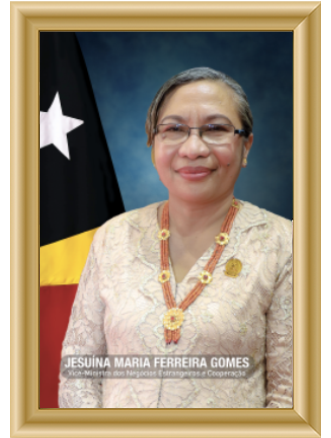viceMinistra